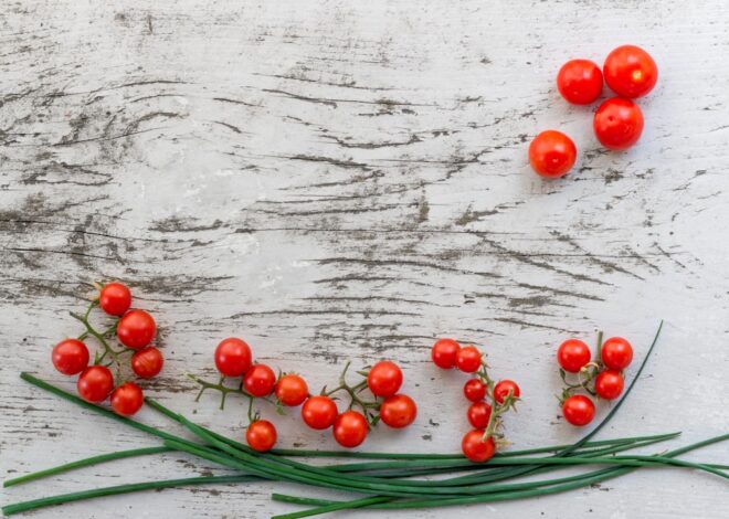 Discovering the Healing Power of Herb